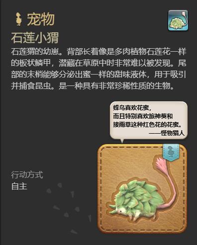 ff14石莲小猬获得方法图8