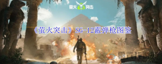 萤火突击SG-12霰弹枪有什么属性 SG-12霰弹枪图鉴图1